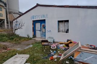 Otřesné podmínky na plzeňských ubytovnách: štěnice, špína i placení nájmu sexem - Novinky